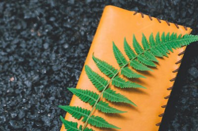 北京大學在職研究生