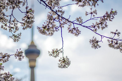 北京大學在職研究生 北京大學在職研究生