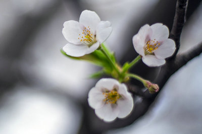 在職研究生招生 在職研究生招生