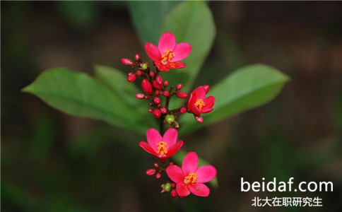 北京大學在職研究生招生錄取分數線是多少